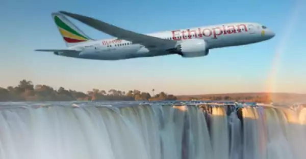 Ethiopian Airlines Plane Crashes With 157 People On Board